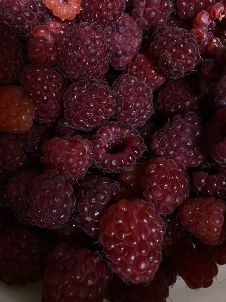 Sun-Kissed Delight: Wholesome Berry Fusion