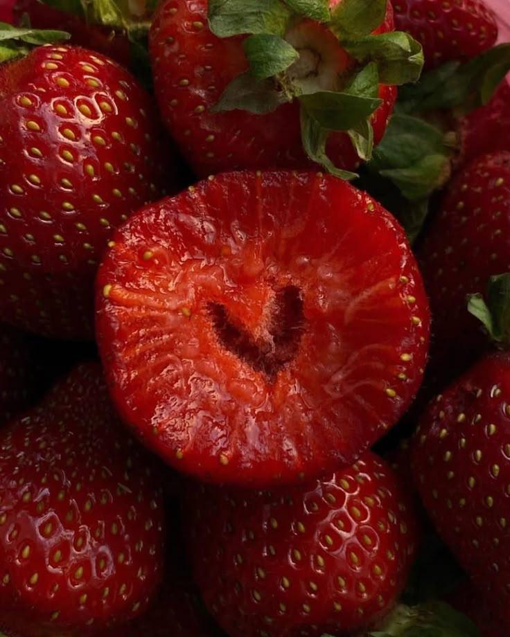 Berry Bounty: Handpicked Farm Freshness